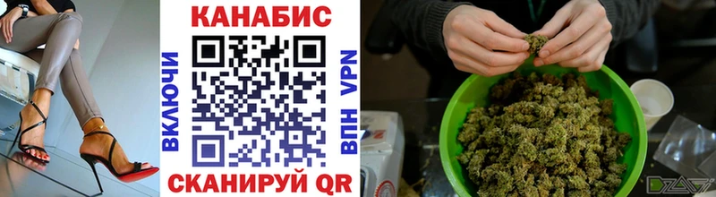 где можно купить   Сясьстрой  Конопля ГИДРОПОН 